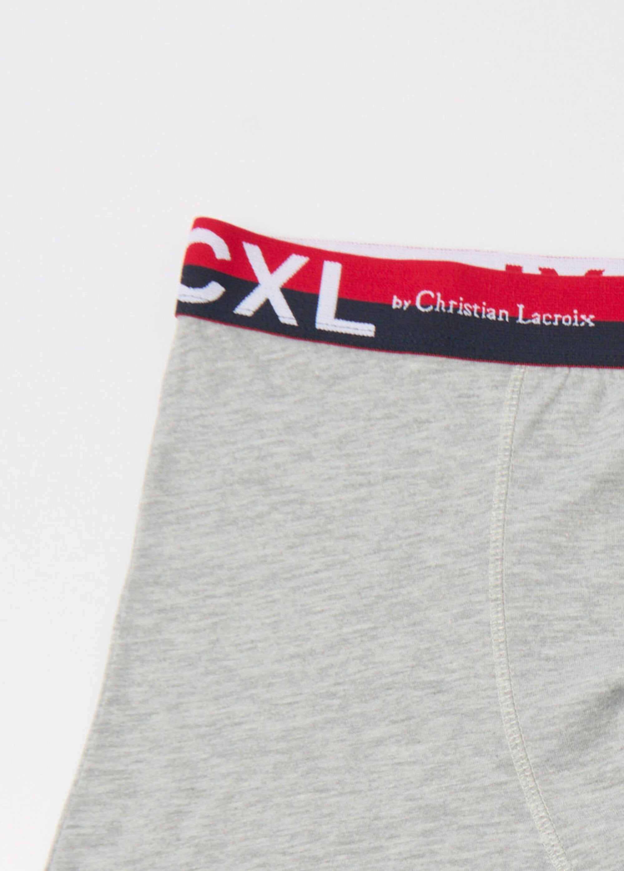 Plain_boxer_shorts_with_logo_waistband_Light_gray_DE1_slim